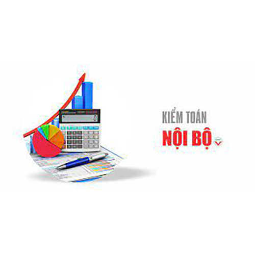 Dịch vụ kiểm toán nội bộ